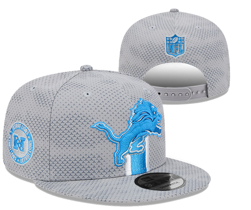 Detroit Lions 2025 Stitched Snapback Hats 011